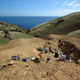 The Emu Bay Shale work site.